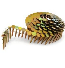 Electro-Galvanized Roofing Coil Nails for Asphalt Shingles